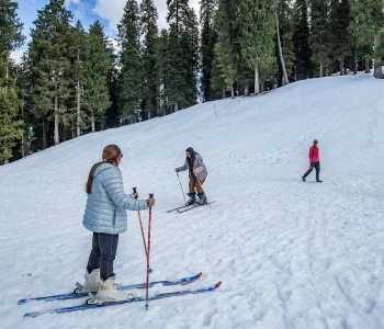 Shimla Narkanda Honeymoon Tour Packages