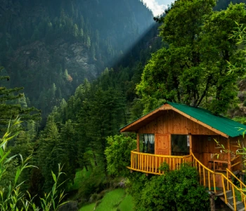 Jibhi Tirthan Valley Honeymoon Tour Package