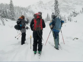 Kashmir Group Tour Package