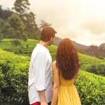 Kerala Wayanad Honeymoon Tour Packages