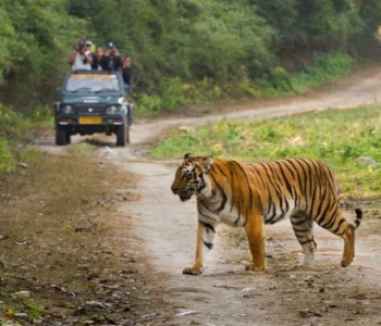 Jim Corbett & Nainital Tour Package