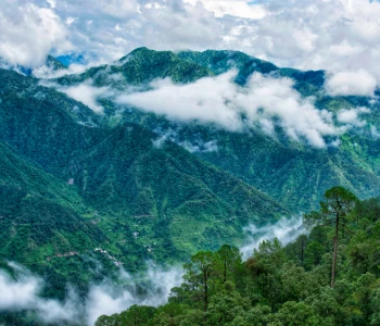 Lansdowne Tour Package